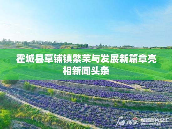 霍城縣草鋪鎮(zhèn)繁榮與發(fā)展新篇章亮相新聞頭條