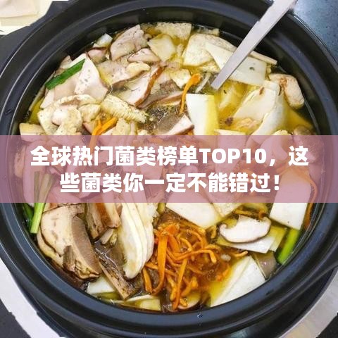 全球熱門菌類榜單TOP10，這些菌類你一定不能錯過！