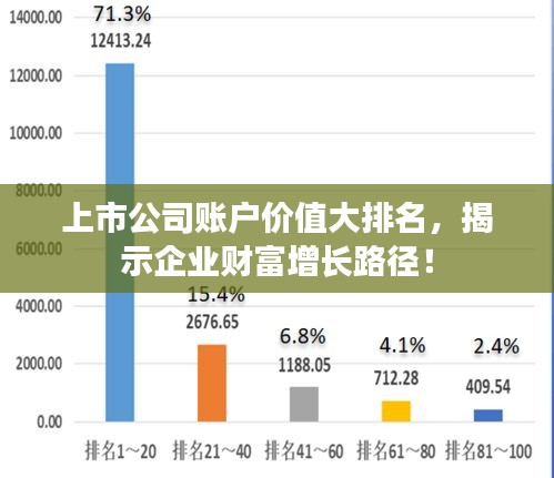 上市公司賬戶價(jià)值大排名，揭示企業(yè)財(cái)富增長(zhǎng)路徑！