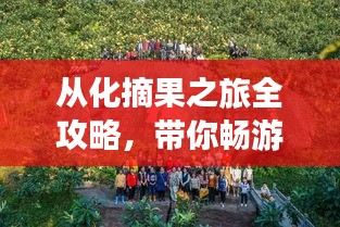 從化摘果之旅全攻略，帶你暢游自然之美！