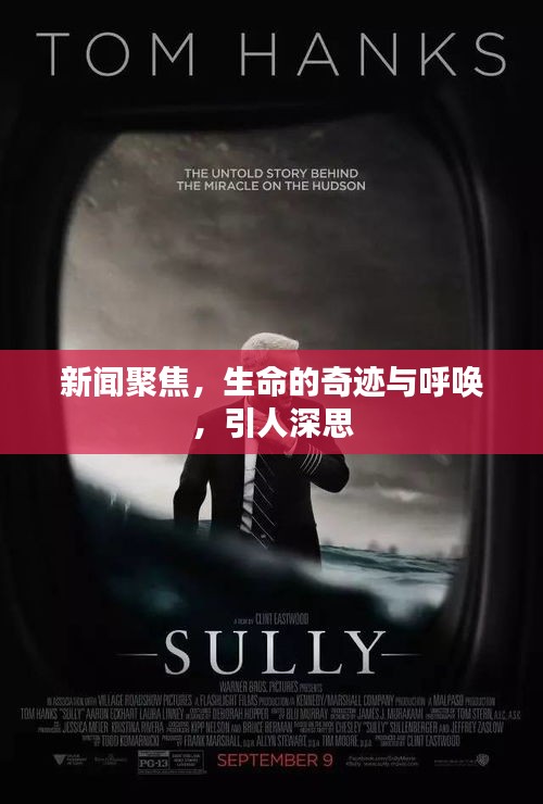 新聞聚焦，生命的奇跡與呼喚，引人深思