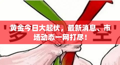 黃金今日大起伏，最新消息、市場動態(tài)一網(wǎng)打盡！