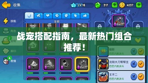 戰(zhàn)寵搭配指南，最新熱門組合推薦！