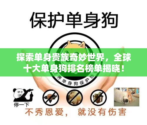 探索單身貴族奇妙世界，全球十大單身狗排名榜單揭曉！