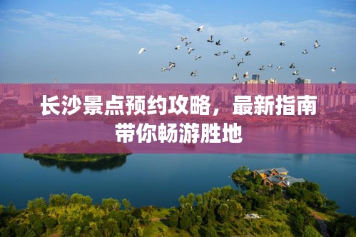 眼張失道 第2頁(yè)