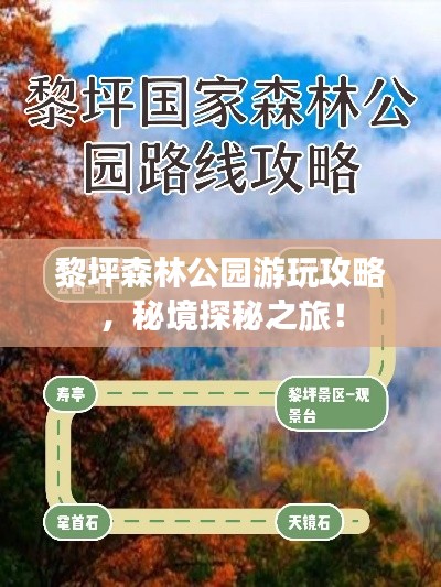 黎坪森林公園游玩攻略，秘境探秘之旅！