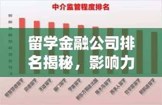 留學(xué)金融公司排名揭秘，影響力深度解析