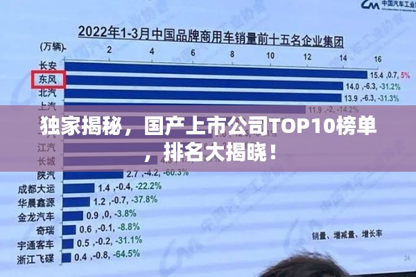 獨家揭秘，國產(chǎn)上市公司TOP10榜單，排名大揭曉！