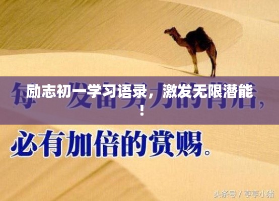 勵(lì)志初一學(xué)習(xí)語(yǔ)錄，激發(fā)無(wú)限潛能！
