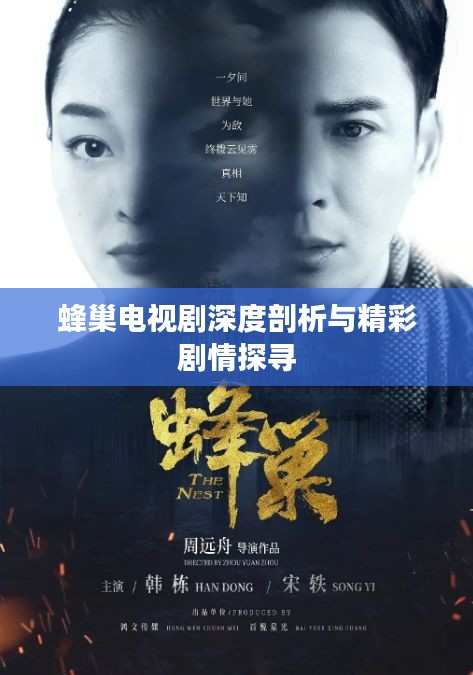 蜂巢電視劇深度剖析與精彩劇情探尋