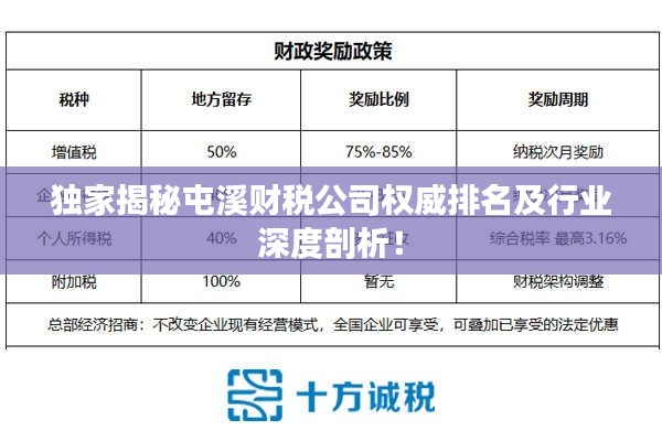 獨(dú)家揭秘屯溪財(cái)稅公司權(quán)威排名及行業(yè)深度剖析！