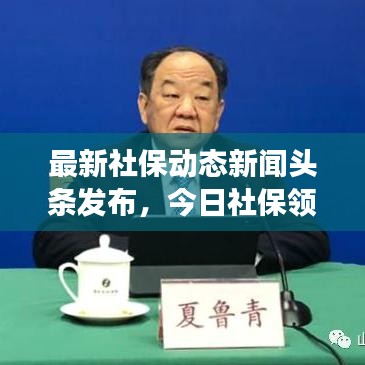 最新社保動態(tài)新聞頭條發(fā)布，今日社保領域重磅消息速遞
