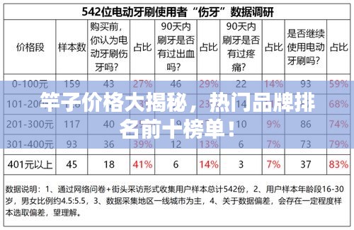 竿子價格大揭秘，熱門品牌排名前十榜單！