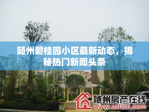 隨州碧桂園小區(qū)最新動態(tài)，揭秘?zé)衢T新聞頭條