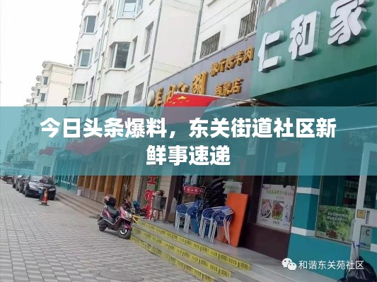 今日頭條爆料，東關(guān)街道社區(qū)新鮮事速遞