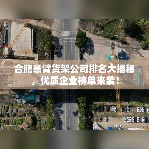 合肥懸臂貨架公司排名大揭秘，優(yōu)質(zhì)企業(yè)榜單來襲！