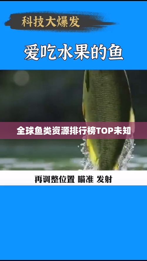 全球魚類資源排行榜TOP未知