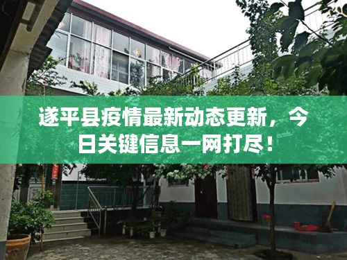 遂平縣疫情最新動態(tài)更新，今日關(guān)鍵信息一網(wǎng)打盡！