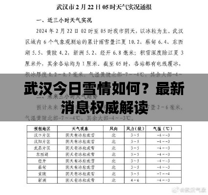 武漢今日雪情如何？最新消息權(quán)威解讀