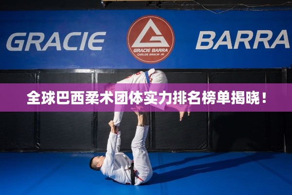 全球巴西柔術(shù)團體實力排名榜單揭曉！