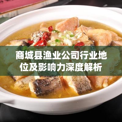 商城縣漁業(yè)公司行業(yè)地位及影響力深度解析
