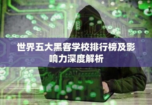 世界五大黑客學(xué)校排行榜及影響力深度解析