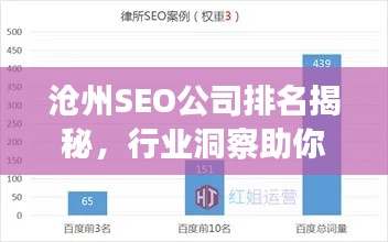 滄州SEO公司排名揭秘，行業(yè)洞察助你快速了解市場狀況！