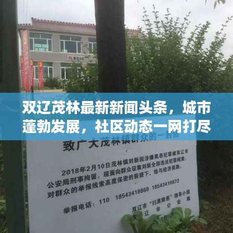 雙遼茂林最新新聞頭條，城市蓬勃發(fā)展，社區(qū)動態(tài)一網(wǎng)打盡