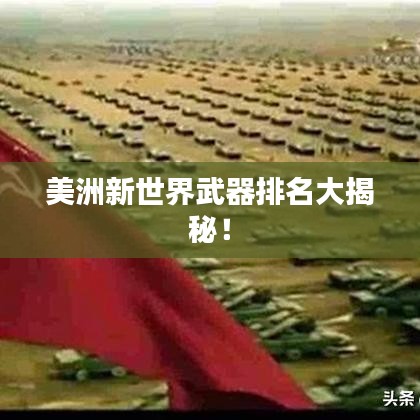 美洲新世界武器排名大揭秘！