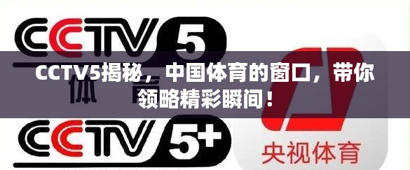 CCTV5揭秘，中國體育的窗口，帶你領(lǐng)略精彩瞬間！