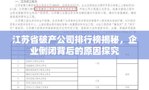 江蘇省破產(chǎn)公司排行榜揭秘，企業(yè)倒閉背后的原因探究