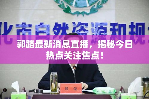 郭路最新消息直播，揭秘今日熱點關(guān)注焦點！
