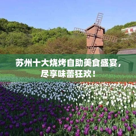 蘇州十大燒烤自助美食盛宴，盡享味蕾狂歡！
