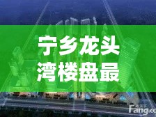 寧鄉(xiāng)龍頭灣樓盤最新價格動態(tài)揭秘！