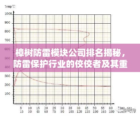 樟樹(shù)防雷模塊公司排名揭秘，防雷保護(hù)行業(yè)的佼佼者及其重要性解析