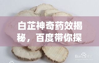 白芷神奇藥效揭秘，百度帶你探索白芷的健康奧秘！