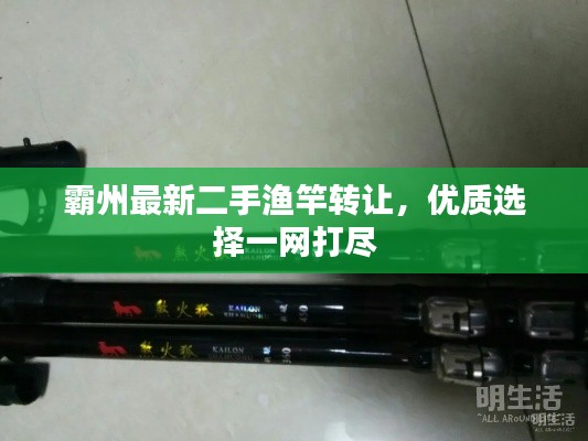 霸州最新二手漁竿轉讓，優(yōu)質選擇一網(wǎng)打盡