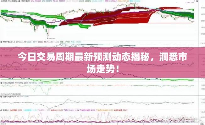 今日交易周期最新預(yù)測動態(tài)揭秘，洞悉市場走勢！