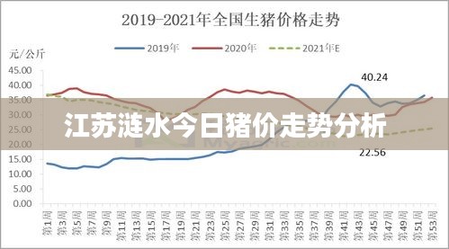 江蘇漣水今日豬價走勢分析