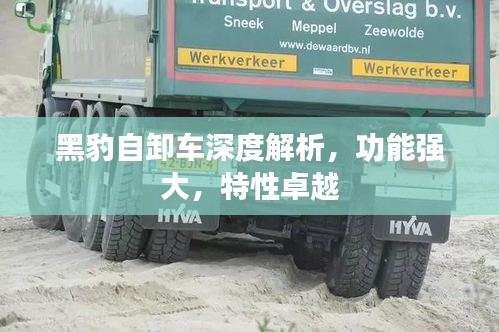 黑豹自卸車深度解析，功能強大，特性卓越
