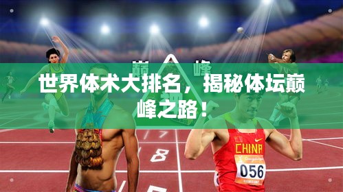 世界體術(shù)大排名，揭秘體壇巔峰之路！