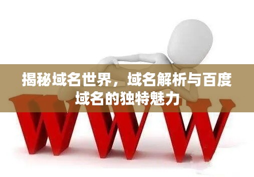 揭秘域名世界，域名解析與百度域名的獨特魅力