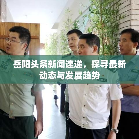 岳陽(yáng)頭條新聞速遞，探尋最新動(dòng)態(tài)與發(fā)展趨勢(shì)