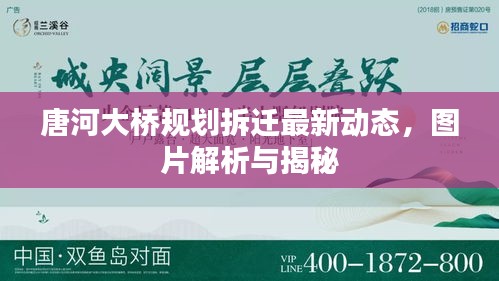 唐河大橋規(guī)劃拆遷最新動態(tài)，圖片解析與揭秘