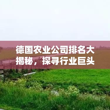 德國農(nóng)業(yè)公司排名大揭秘，探尋行業(yè)巨頭榜單