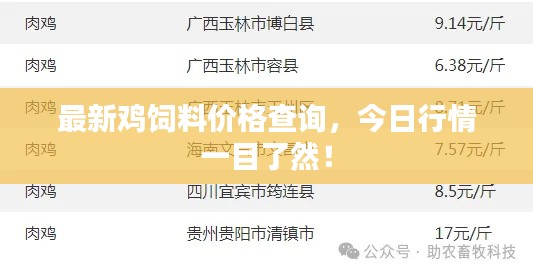 最新雞飼料價(jià)格查詢，今日行情一目了然！