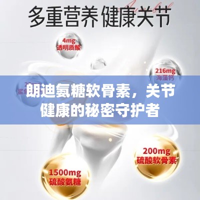 朗迪氨糖軟骨素，關(guān)節(jié)健康的秘密守護者