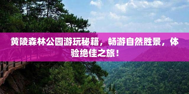 黃陵森林公園游玩秘籍，暢游自然勝景，體驗(yàn)絕佳之旅！