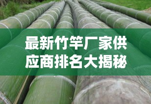 最新竹竿廠家供應(yīng)商排名大揭秘！