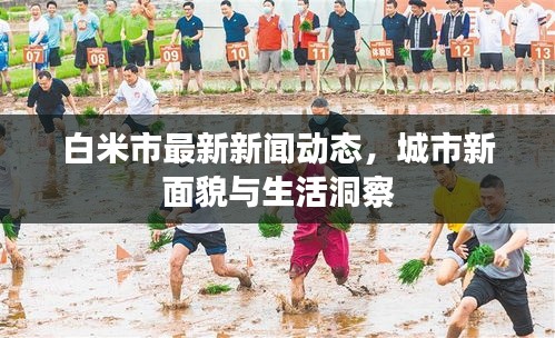 白米市最新新聞動(dòng)態(tài)，城市新面貌與生活洞察